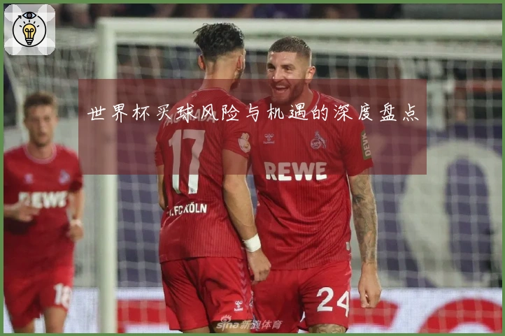 世界杯买球风险与机遇的深度盘点