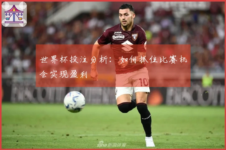 世界杯投注分析：如何抓住比赛机会实现盈利