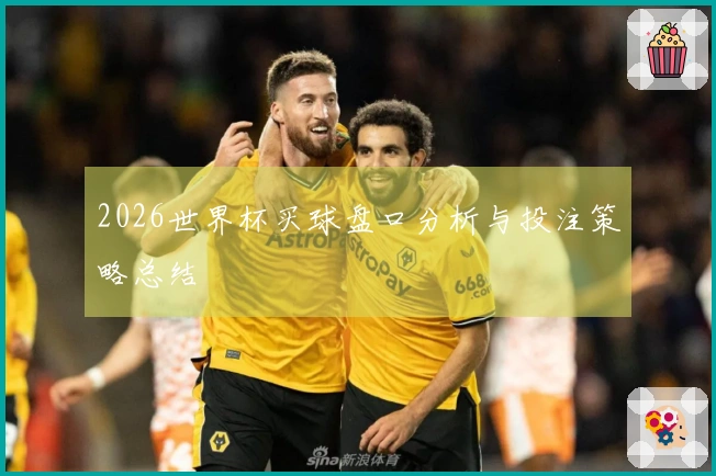 2026世界杯买球盘口分析与投注策略总结