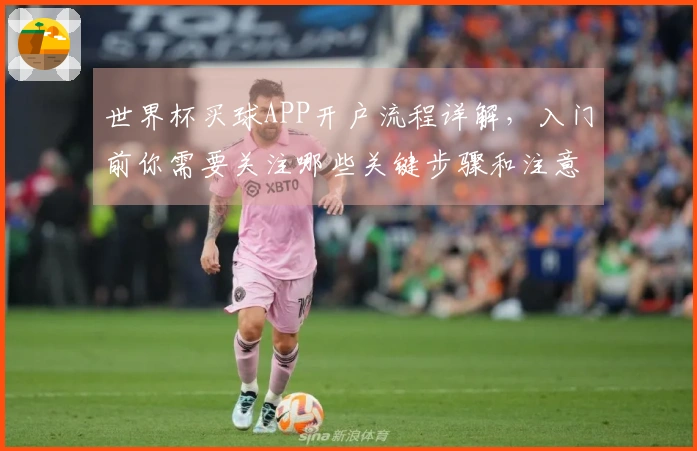 世界杯买球APP开户流程详解，入门前你需要关注哪些关键步骤和注意事项