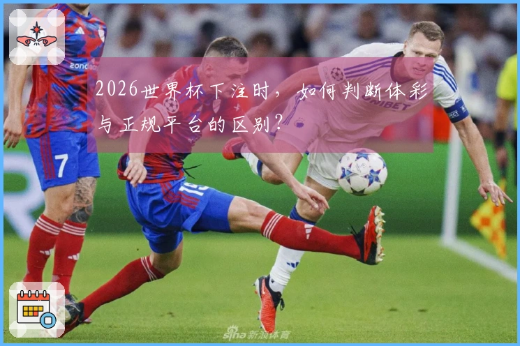 2026世界杯下注时，如何判断体彩与正规平台的区别？