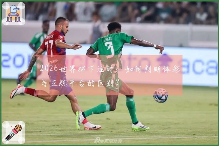 2026世界杯下注时,如何判断体彩与正规平台的区别?