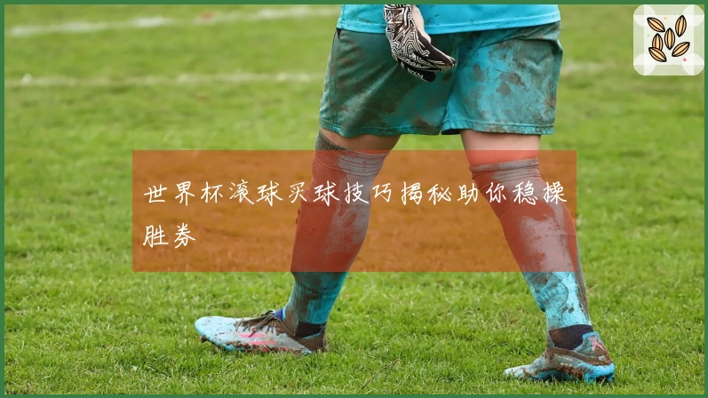 世界杯滚球买球技巧揭秘助你稳操胜券