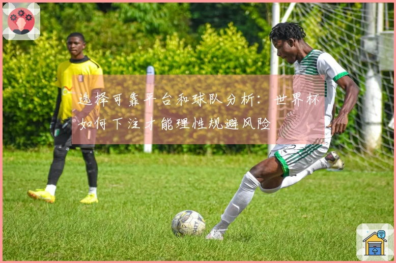选择可靠平台和球队分析：世界杯如何下注才能理性规避风险
