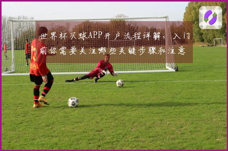 世界杯买球APP开户流程详解，入门前你需要关注哪些关键步骤和注意事项