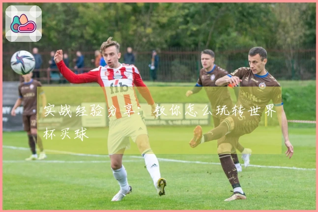 实战经验分享：教你怎么玩转世界杯买球